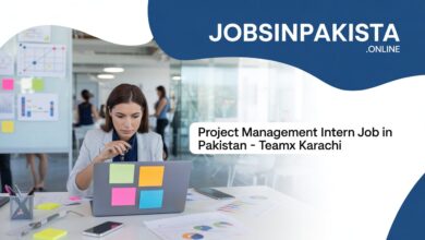 Project Management Intern Job in Pakistan – TeamX Karachi